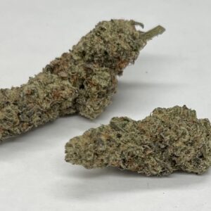 Hybrid - Night Moves