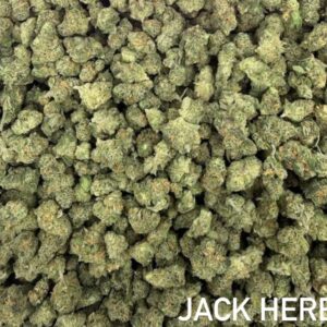 Sativa - Jack Herer (smalls)