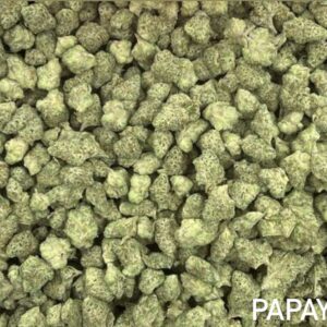 Indica - Papaya (smalls)